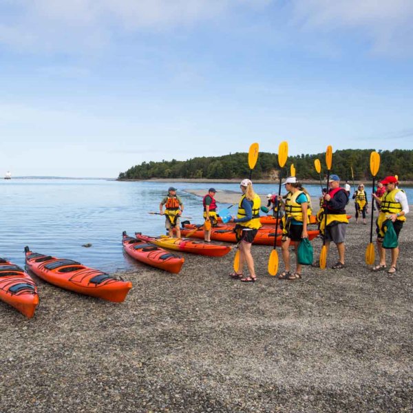 kayak tour acadia national park