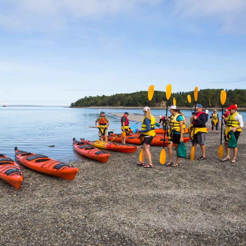 21 Best Things to Do in Acadia National Park (Updated for 2024)