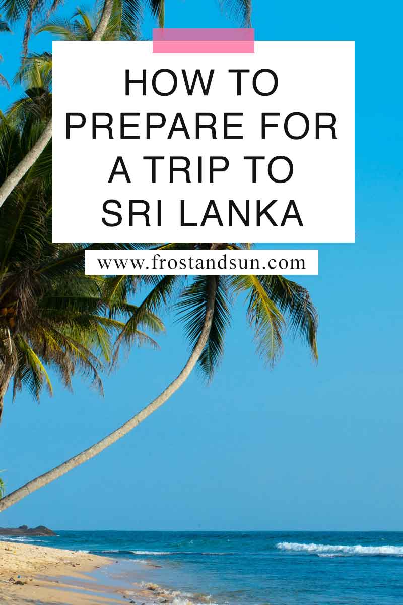 What to Do Before You Visit Sri Lanka - Frost + Sun