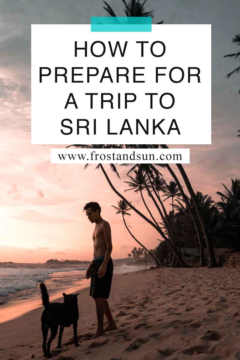 What to Do Before You Visit Sri Lanka (Updated 2024)