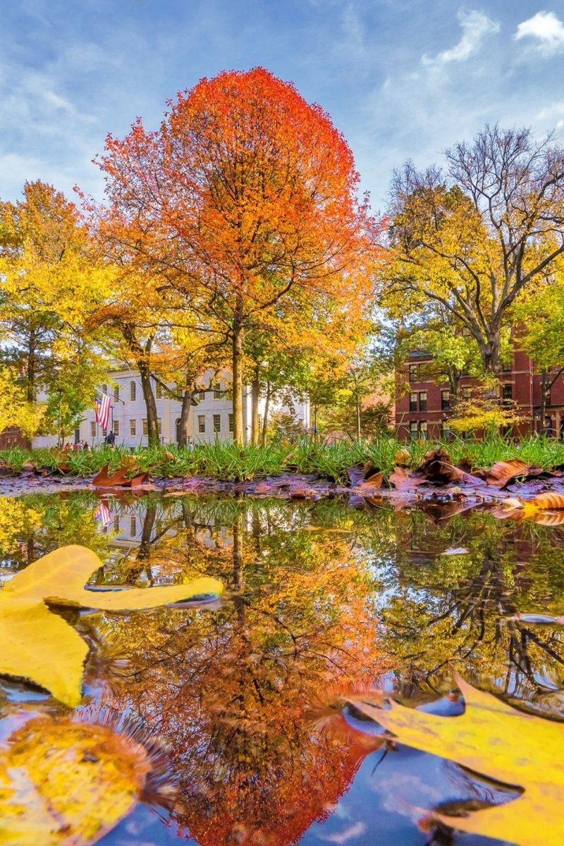 13 Best Things to Do in Boston in the Fall (Updated 2024)