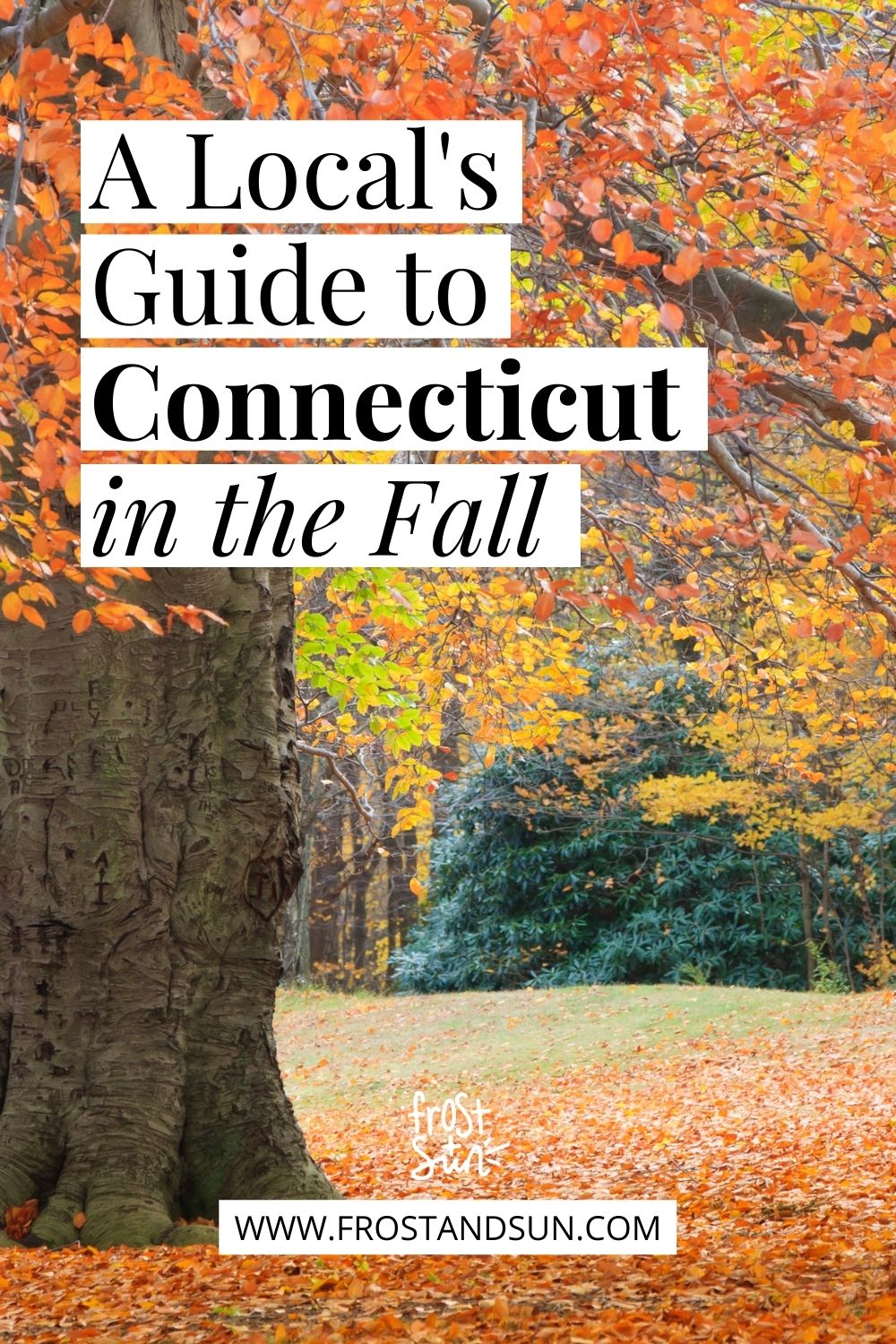 10-best-things-to-do-in-connecticut-in-the-fall-updated-2024