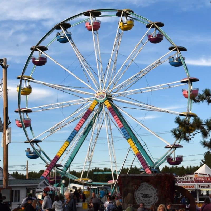 Fryeburg County Fair 2024 Registration Lanae Miranda