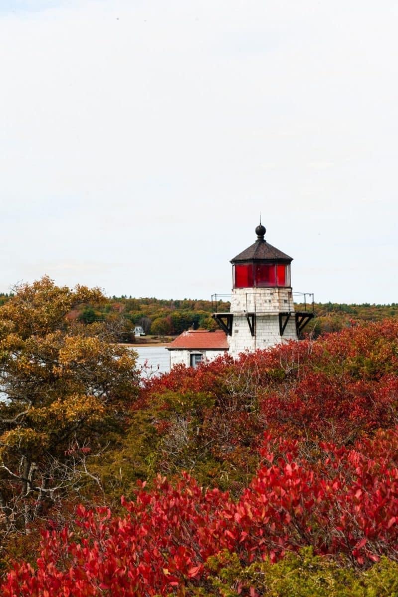 19 Best Things to Do in New England in the Fall (Updated for 2024)