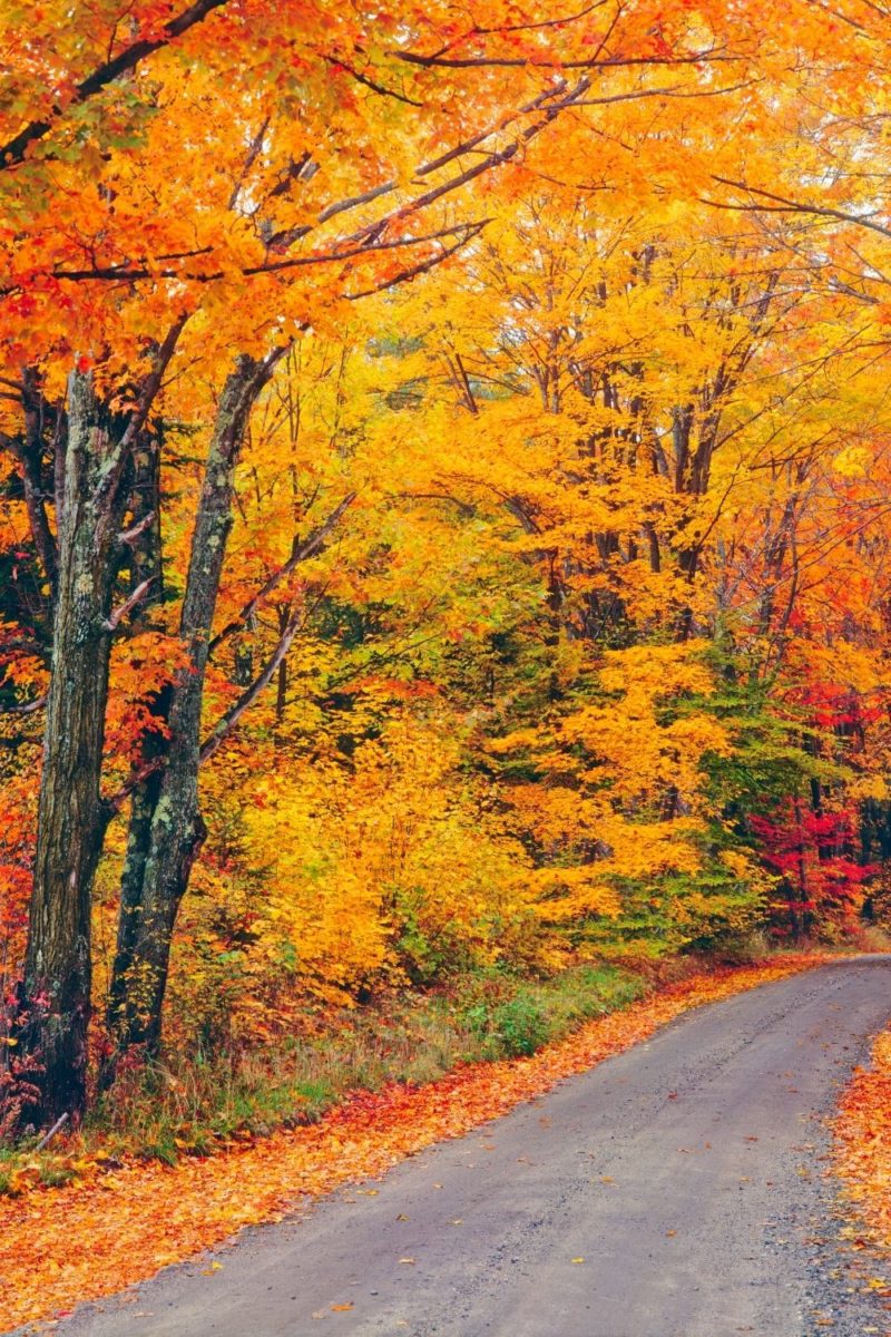 19 Best Things to Do in New England in the Fall (Updated for 2024)