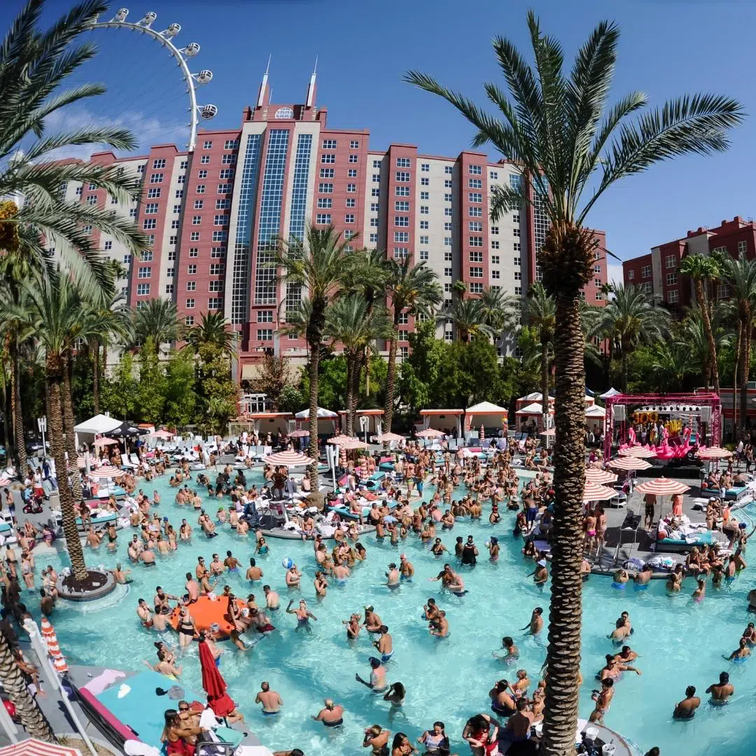 Flamingo Pool: Go Pool & Beach Club One of the Best Pools in Las Vegas