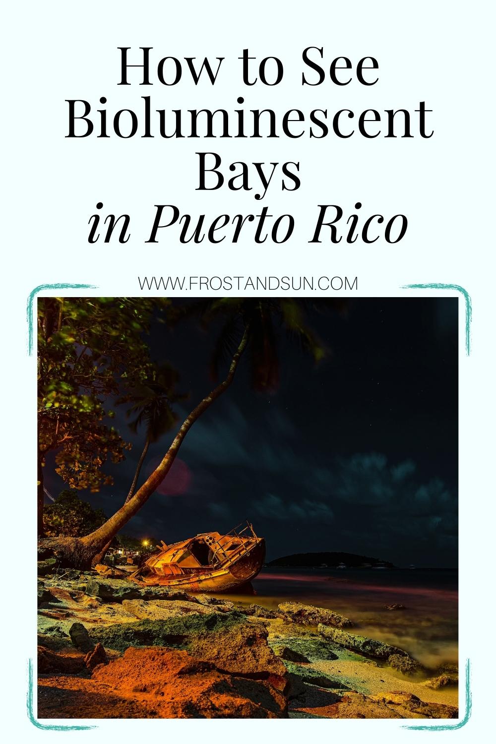 How to See Bioluminescent Bays in Puerto Rico (Updated 2024)