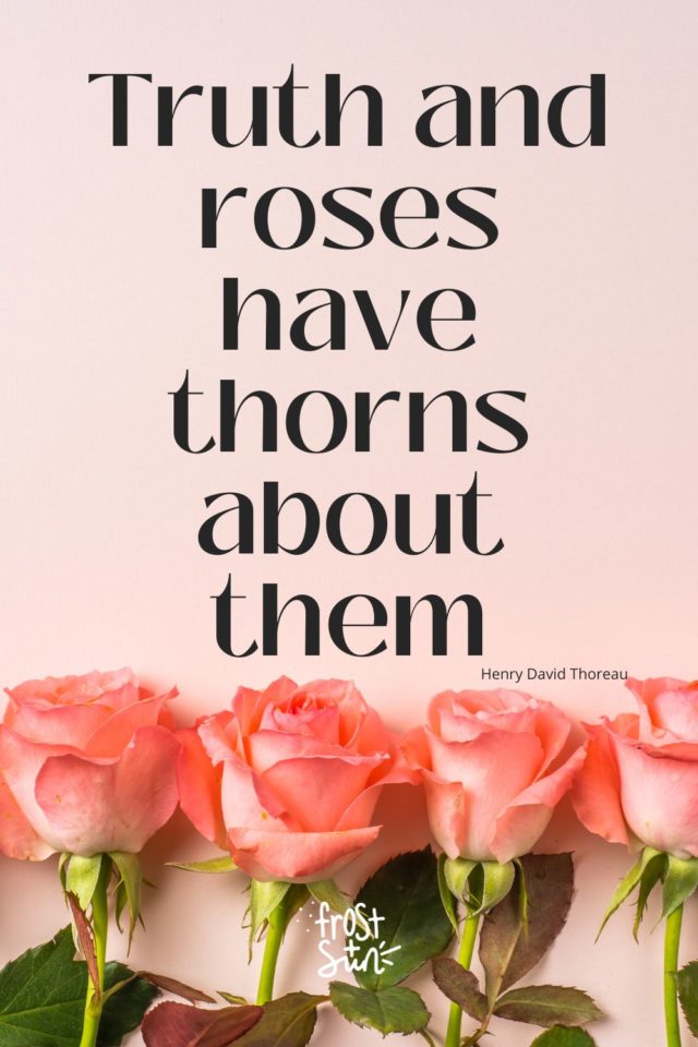 100+ Rose Captions for Instagram to Use on Social Media