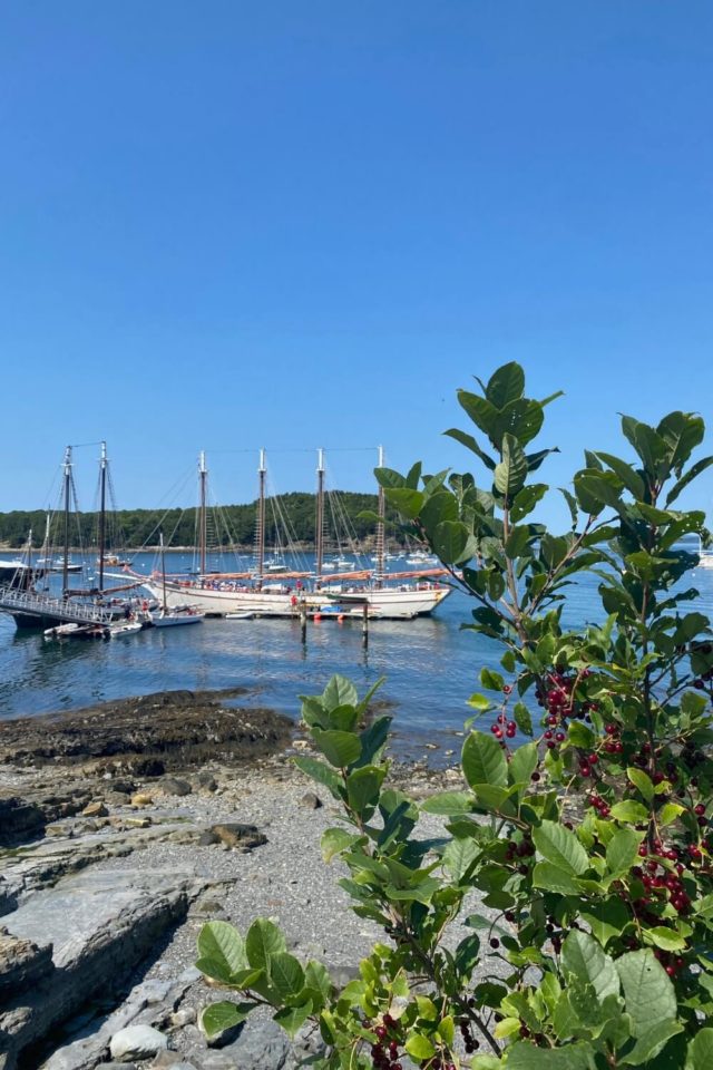 35 Best Things to Do in Bar Harbor, Maine (Updated for 2023)