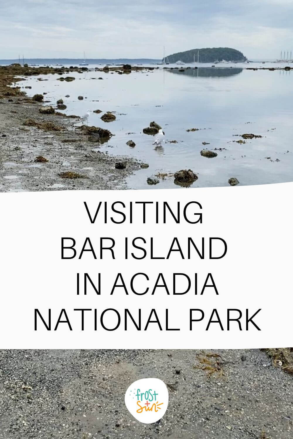 Hiking Bar Island Trail in Acadia National Park (Updated 2023)