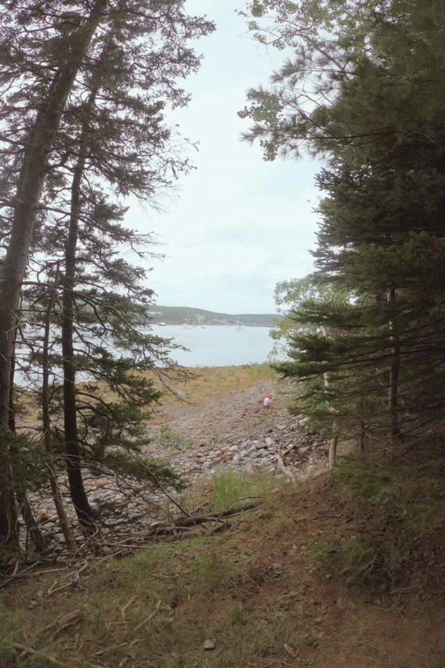 Hiking Bar Island Trail In Acadia National Park Updated 2023   Bar Island Trail Acadia 640x960 