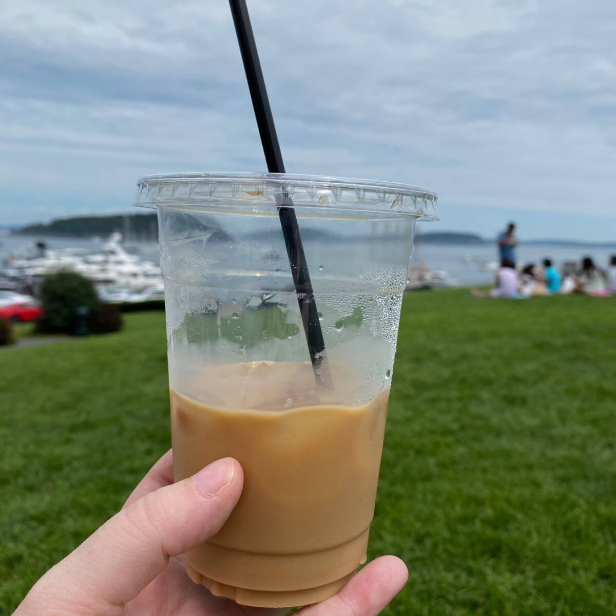 Best Coffee In Bar Harbor